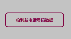 伯利兹电话号码数据 