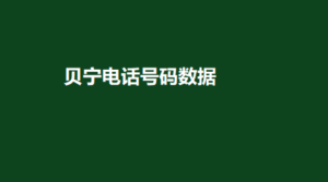 贝宁电话号码数据 